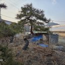 구암동387 이미지