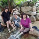 가덕골농원 이미지