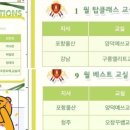 양덕예쓰해법영어 이미지