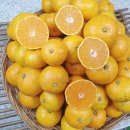 준이네농장 이미지