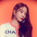 보아 카카오 검색결과
