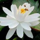 사람과사람 이미지