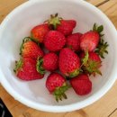 최문학축사 | 챗GPT한테 연애상담하는 사람이 있다?