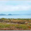 순정농장 이미지