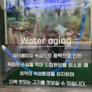태태네정육점 이미지