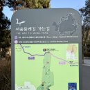 부천둘레길4코스 | 서울 둘레길 4코스 용마산 스카이워크 전망대 가는법 야경 후기