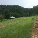 포포농장 이미지