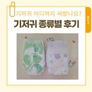 아기 기저귀 어디까지 써봤을까? 하기스 맥스드라이 네추럴블라썸 리베로 사용 후기 신생아 기저귀 후기