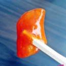 빨간너구리 이미지