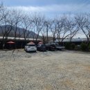 생선명가거북명태 이미지