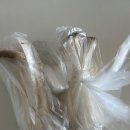 염서방한우