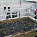 기흥2농장 이미지