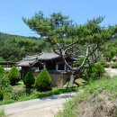 삼지당