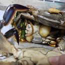 재섭농장 이미지