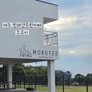 모루티 이미지