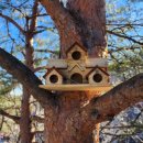 설악스카이 이미지