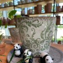 빌라쥬 드 아난티 코너모비딕 마켓 이미지