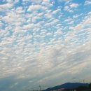 뭉개뭉개 이미지