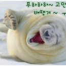 삽시당