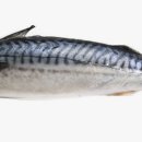 아버지와고등어 이미지