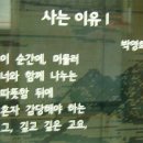 박영희「사는 이유」 이미지