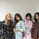 이지비 이미지