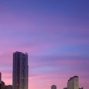 동천교 남쪽 Daum카페