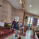 아비가엘 이미지