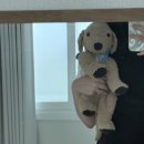 안성시보건소 주차장 | 임산부의 9월 일상(입덧, 1차 기형아검사, 임산부 꽃꽂이 교실, 임영웅 서울 효도콘 예매 성공, 복수...