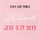 영희네돌담집_안단테 이미지