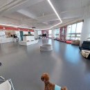 리츠펫 이시아폴리스점 | 대구애견호텔 리츠펫 애견유치원 호텔 이시아폴리스