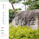 영신유원지 이미지