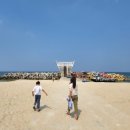 경포블루비치 이미지