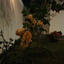 스테이 훔 | 경남, 거창 감성숙소[스테이훔]후기