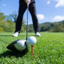 투데이 스크린골프 이미지