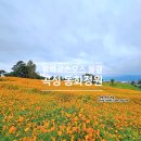 동화마을 생태공원 1 | 전남 곡성가볼만한곳 동화정원 가는길과 주차장 코스모스구경 여행 안내