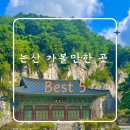 수락리 | 논산 여행지 추천 Best 5 l 수락계곡, 반야사, 카페 벌곡, 딸기향농촌테마파크, 자연휴양림