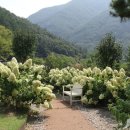 상관편백숲 공영주차장 이미지