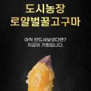 투윤맘