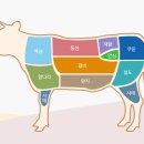 맛있는 한우 이미지