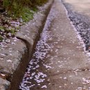 남산공원 오토캠핑장 이미지