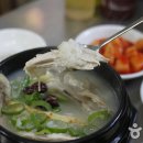 명동닭한마리 Daum카페