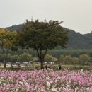 베토벤음악교습소 이미지