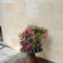 백로서식지 | 골프일기 : 아난티남해 CC