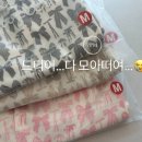 프레젠트플라워 | 프레젠트프로젝트 프프 고쟁이 단종 s/m사이즈 팁
