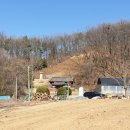 윤민헌 선생 묘 이미지