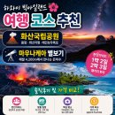 마이빅트리 | 하와이 빅아일랜드 여행 코스 추천 | 화산국립공원·마우나케아 별보기 투어 후기 및 가격 비교
