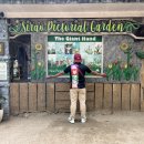 시티택시 이미지