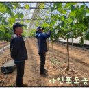 아인농장 이미지