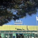 논골민박 | [동해] 겨울 1박2일 묵호여행 뚜벅이 코스 맛집추천